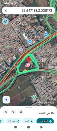 أرض-بيع-الجزائر-بئر-توتة