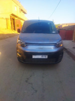 automobiles-fiat-doublo-2024-djendel-ain-defla-algerie