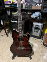 guitare-ibanez-tcm50-bir-el-djir-oran-algerie