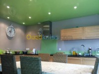 البليدة-أولاد-يعيش-الجزائر-ديكورات-و-ترتيب-décoration