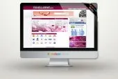 Développement de sites Web
