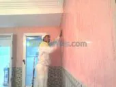 peinture batiment & decoration
