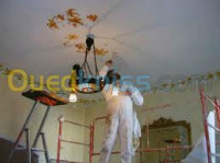 alger-cheraga-algerie-construction-travaux-peinture-et-décoration