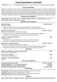 صناعة-و-إنتاج-ingenieur-electrotechnique-maintenance-industrielle-الأغواط-الجزائر