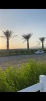 بستنة-palmier-phoenix-سطاوالي-الجزائر