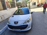 voitures-peugeot-206-plus-2011-birtouta-alger-algerie