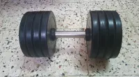 1 Haltére 20 kg