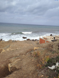 terrain-vente-tipaza-larhat-algerie