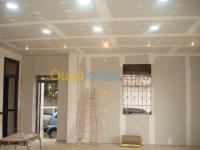 alger-les-eucalyptus-algerie-construction-travaux-decoration-ba13