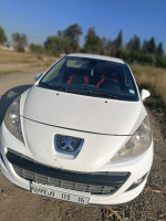 citadine-peugeot-207-2013-alger-centre-algerie