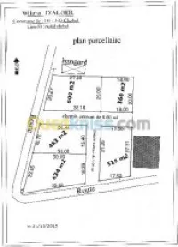 Vente Terrain Alger Birtouta