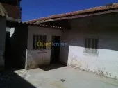 Vente Immeuble Tipaza Bou ismail