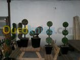 alger-rouiba-algerie-décoration-aménagement-plantes-artificielles