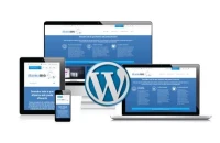 Webmaster & développeur web (Auto-entrepreneur) WordPress- création de site web