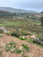 terrain-vente-bejaia-algerie