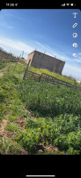 hangar-location-ain-defla-soltane-algerie