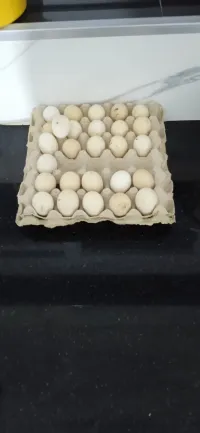 سماني