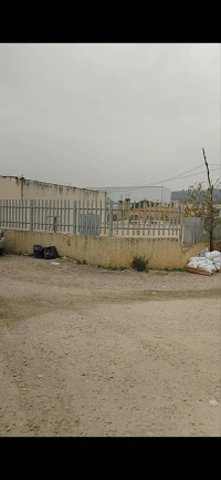 Vente Terrain Boumerdès El kharrouba