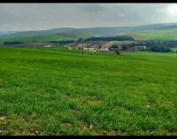 Vente Terrain Agricole Constantine Didouche mourad
