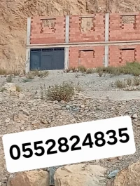 Vente Terrain Blida Bougara
