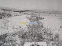 وهران-قديل-الجزائر-بناء-و-أشغال-terrassement-d-un-terrain