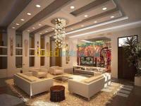 معسكر-غريس-الجزائر-طب-و-صحة-decoration-&nbsp;-جبس-&nbsp;معلق