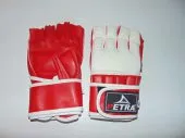Gant MMA