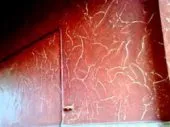 peinture industrielle et batiment 
