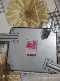 ميموار ألطو 4 فيش