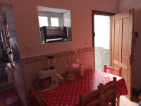 Location Studio Alger Les eucalyptus