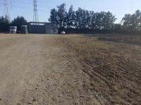 hangar-factory-rent-boumerdes-boudouaou-algeria