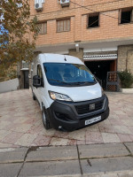 fourgon-fiat-ducato-professionnel-ain-el-hammam-tizi-ouzou-algerie