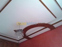 البليدة-لارباع-الجزائر-بناء-و-أشغال-plâtre-decoratif