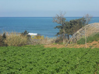 terrain-vente-tipaza-sidi-ghiles-algerie