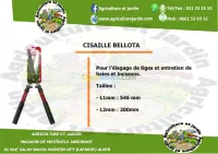 Cisaille Bellota