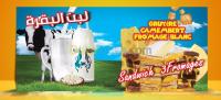 الجزائر-بولوغين-إشهار-و-اتصال-infographiste