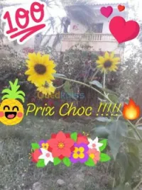 Vente Villa Biskra Tolga