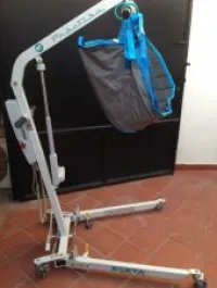 vente d'une  girafe  pour  handicapés 