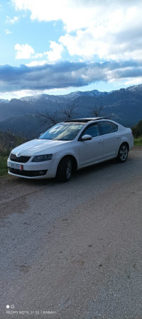 voitures-skoda-octavia-2015-ain-el-hammam-tizi-ouzou-algerie