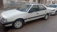 voitures-peugeot-405-1993-alger-centre-algerie