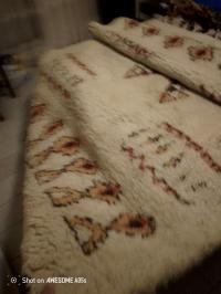سجاد-و-موكيت-tapis-en-pure-laine-القبة-الجزائر