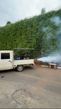 deratisation desinfection desinsectisation 3D, Fumigation