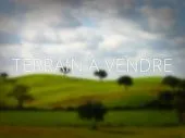 Vente Terrain Bejaia Oued ghir