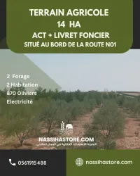 Vente Terrain Agricole Djelfa Ain oussara
