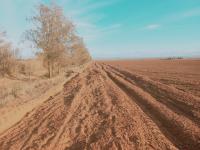 Vente Terrain Agricole Djelfa Ain oussara thumbnail 3