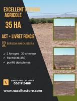 terrain-agricole-vente-djelfa-ain-oussara-algerie