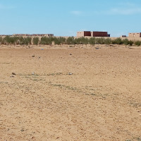 terrain-agricole-vente-djelfa-algerie