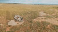 Vente Terrain Agricole Djelfa Hassi bahbah thumbnail 2