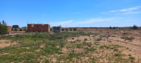 farmland-sell-djelfa-zaafrane-algeria