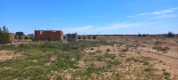 Vente Terrain Agricole Djelfa Zaafrane